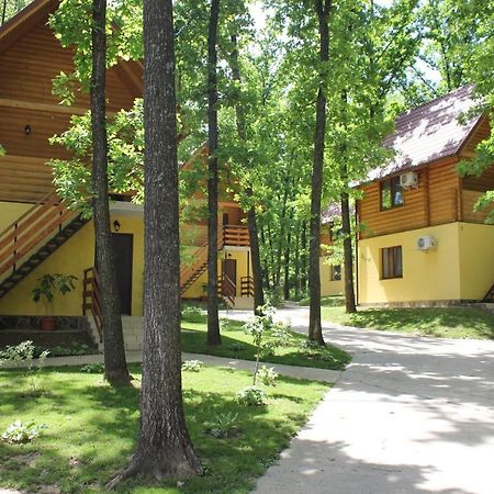 Lomacineţi Вілія酒店 外观 照片