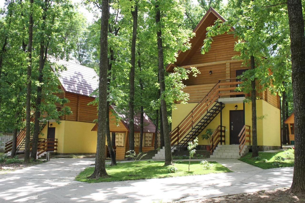 Lomacineţi Вілія酒店 外观 照片