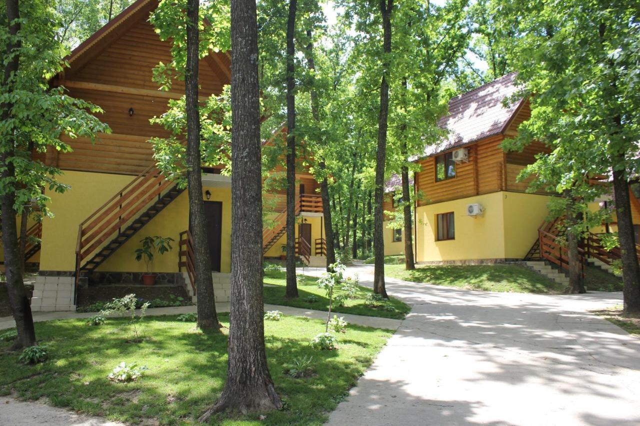 Lomacineţi Вілія酒店 外观 照片